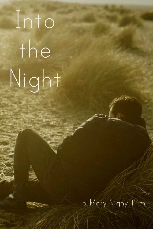 Постер Into the Night